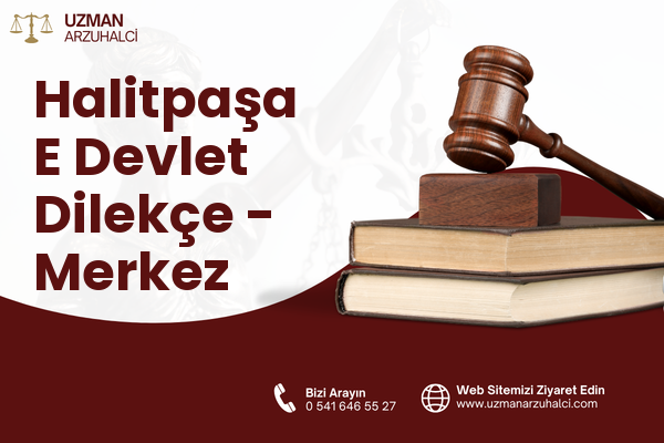 Halitpaşa E Devlet Dilekçe - Merkez