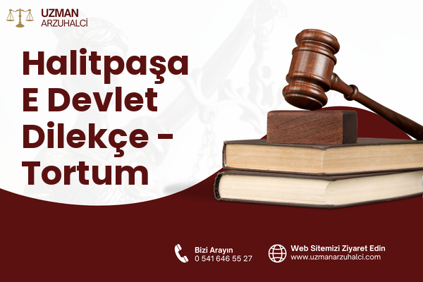 Halitpaşa E Devlet Dilekçe - Tortum