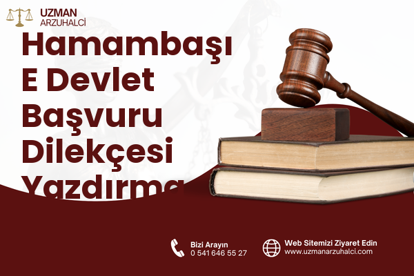 Hamambaşı E Devlet Başvuru Dilekçesi Yazdırma - Havran