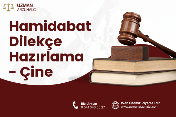 Hamidabat Dilekçe Hazırlama - Çine