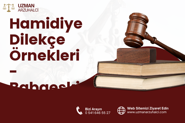 Hamidiye Dilekçe Örnekleri - Babaeski