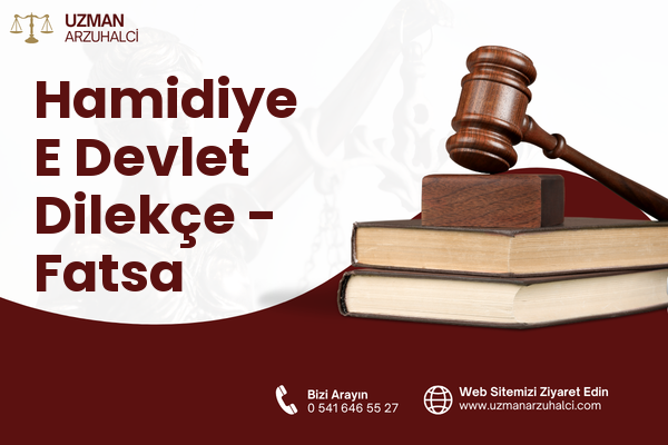 Hamidiye E Devlet Dilekçe - Fatsa