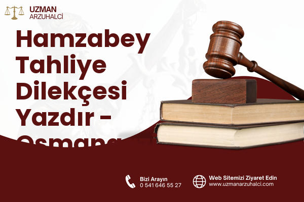 Hamzabey Tahliye Dilekçesi Yazdır - Osmangazi