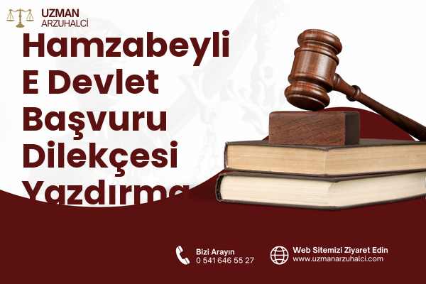 Hamzabeyli E Devlet Başvuru Dilekçesi Yazdırma - Toroslar