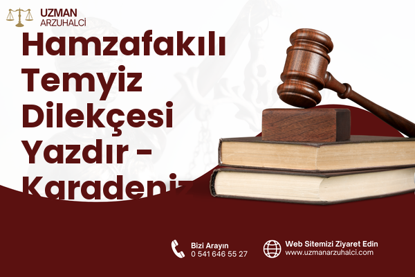 Hamzafakılı Temyiz Dilekçesi Yazdır - Karadeniz Ereğli
