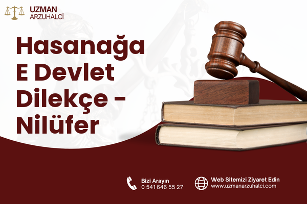 Hasanağa E Devlet Dilekçe - Nilüfer