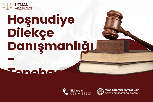 Hoşnudiye Dilekçe Danışmanlığı - Tepebaşı