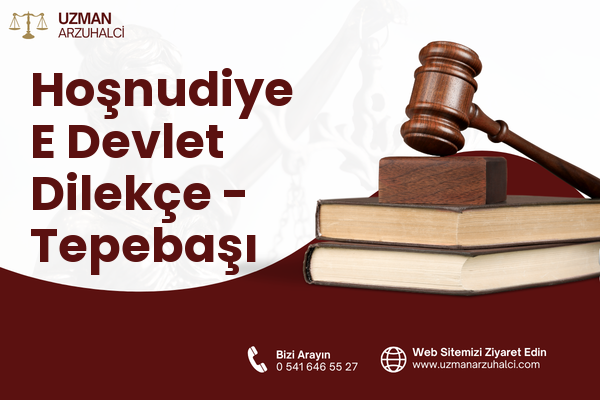 Hoşnudiye E Devlet Dilekçe - Tepebaşı