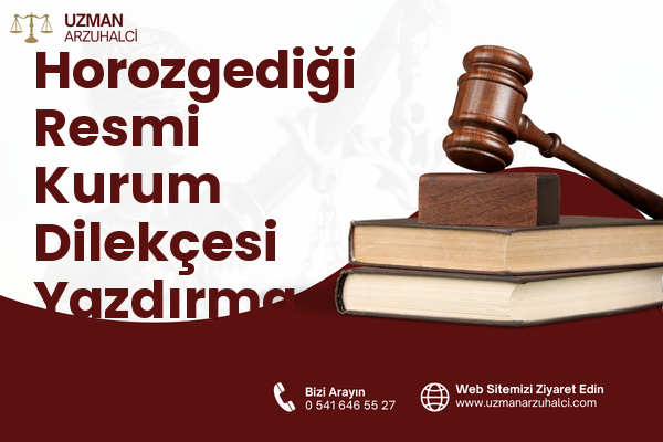 Horozgediği Resmi Kurum Dilekçesi Yazdırma - Aliağa