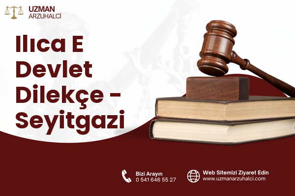 Ilıca E Devlet Dilekçe - Seyitgazi