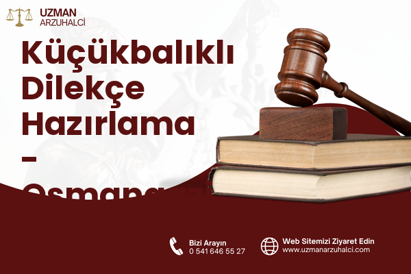 Küçükbalıklı Dilekçe Hazırlama - Osmangazi