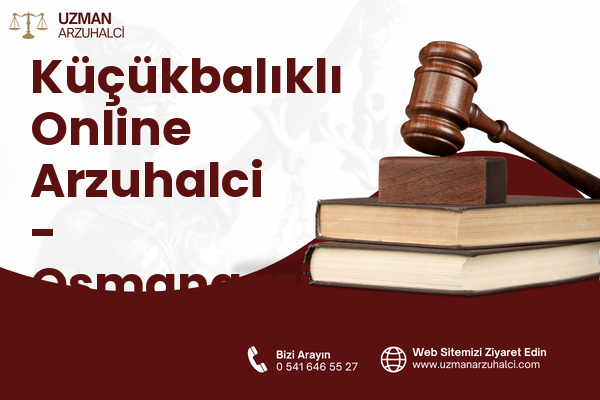 Küçükbalıklı Online Arzuhalci - Osmangazi