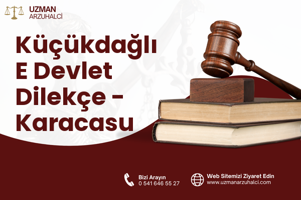 Küçükdağlı E Devlet Dilekçe - Karacasu