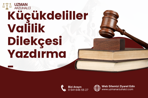 Küçükdeliller Valilik Dilekçesi Yazdırma - Osmangazi