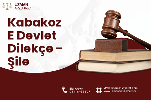 Kabakoz E Devlet Dilekçe - Şile