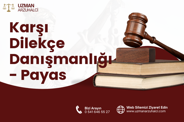 Karşı Dilekçe Danışmanlığı - Payas