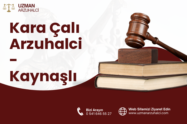 Kara Çalı Arzuhalci - Kaynaşlı