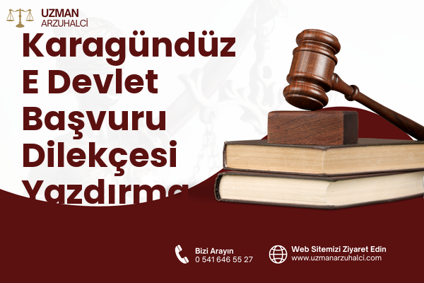 Karagündüz E Devlet Başvuru Dilekçesi Yazdırma - Tuşba