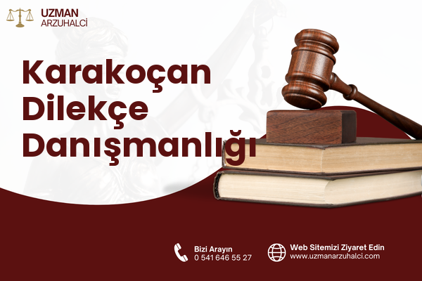 Karakoçan Dilekçe Danışmanlığı