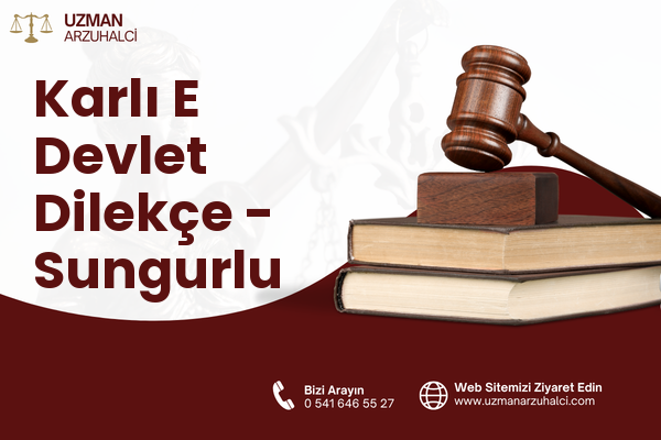Karlı E Devlet Dilekçe - Sungurlu