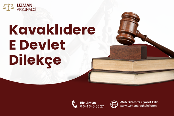 Kavaklıdere E Devlet Dilekçe