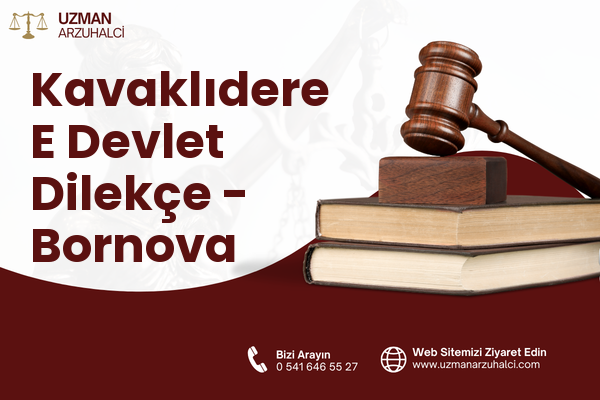 Kavaklıdere E Devlet Dilekçe - Bornova