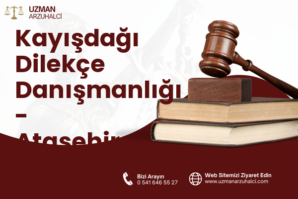Kayışdağı Dilekçe Danışmanlığı - Ataşehir