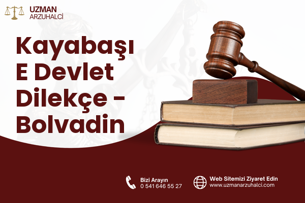 Kayabaşı E Devlet Dilekçe - Bolvadin