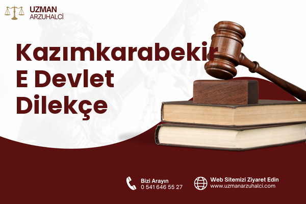 Kazımkarabekir E Devlet Dilekçe