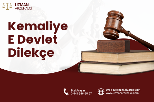 Kemaliye E Devlet Dilekçe