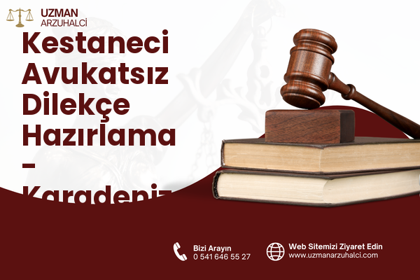 Kestaneci Avukatsız Dilekçe Hazırlama - Karadeniz Ereğli