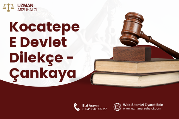 Kocatepe E Devlet Dilekçe - Çankaya