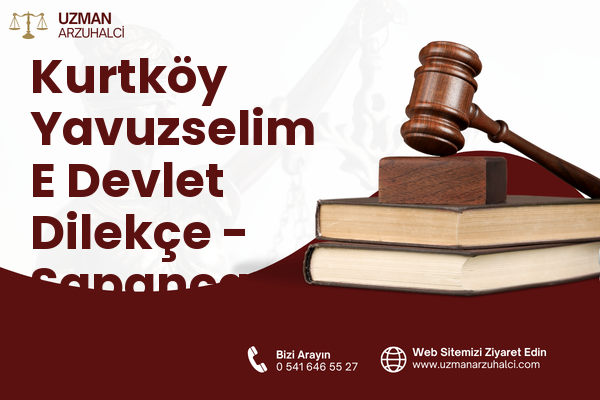 Kurtköy Yavuzselim E Devlet Dilekçe - Sapanca