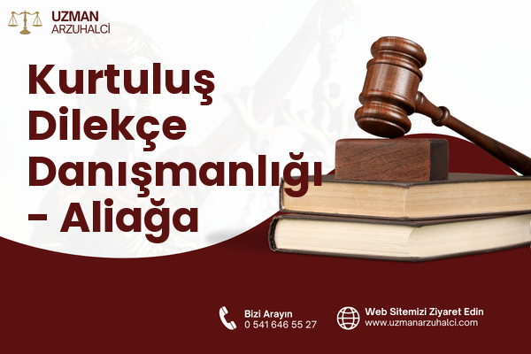 Kurtuluş Dilekçe Danışmanlığı - Aliağa
