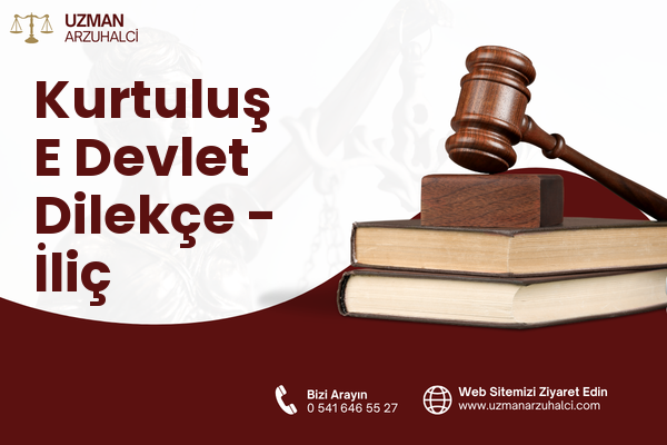 Kurtuluş E Devlet Dilekçe - İliç
