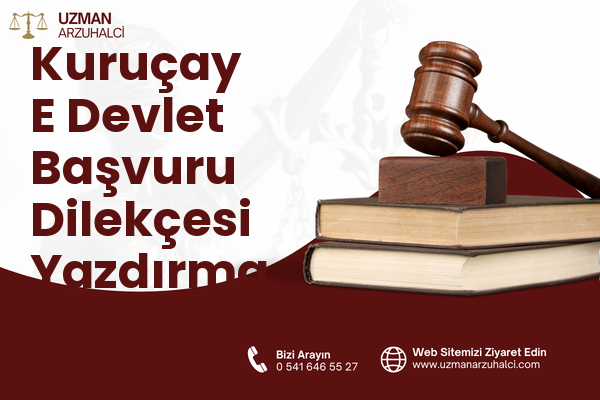 Kuruçay E Devlet Başvuru Dilekçesi Yazdırma - Akşehir