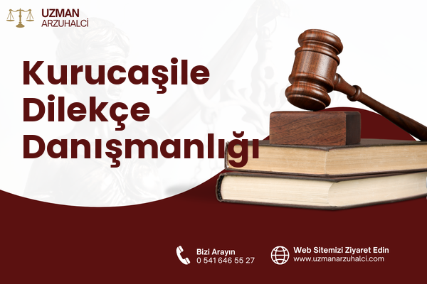 Kurucaşile Dilekçe Danışmanlığı