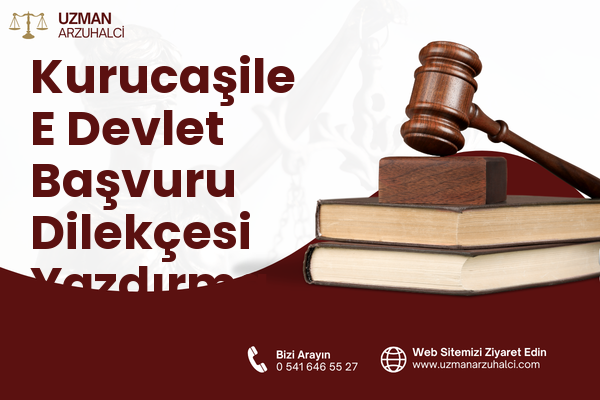 Kurucaşile E Devlet Başvuru Dilekçesi Yazdırma