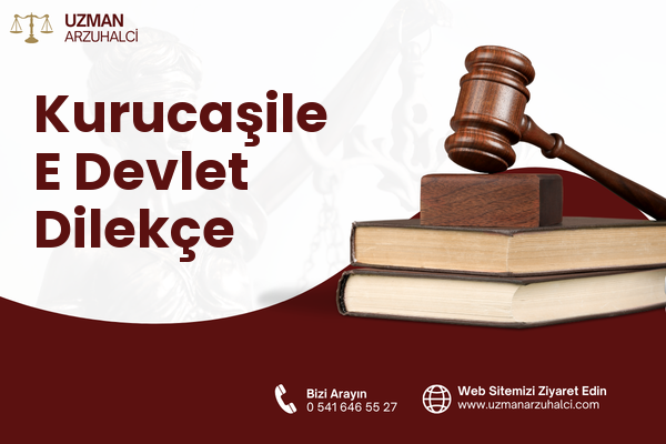 Kurucaşile E Devlet Dilekçe