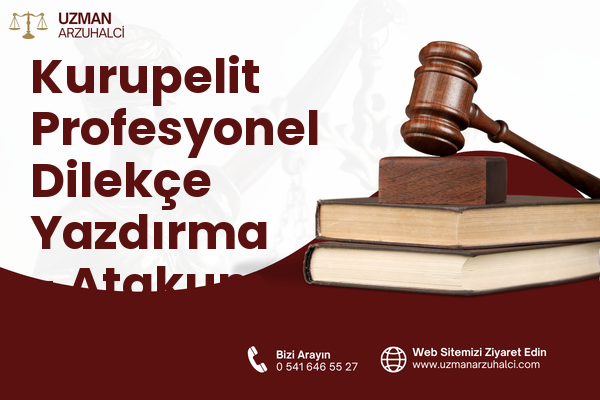 Kurupelit Profesyonel Dilekçe Yazdırma - Atakum