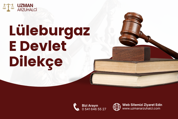 Lüleburgaz E Devlet Dilekçe