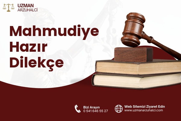 Mahmudiye Hazır Dilekçe