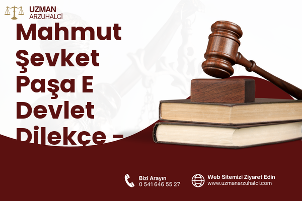 Mahmut Şevket Paşa E Devlet Dilekçe - Şişli