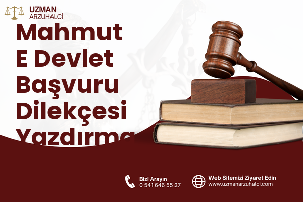 Mahmut E Devlet Başvuru Dilekçesi Yazdırma - Merkez