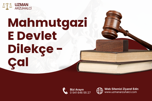 Mahmutgazi E Devlet Dilekçe - Çal