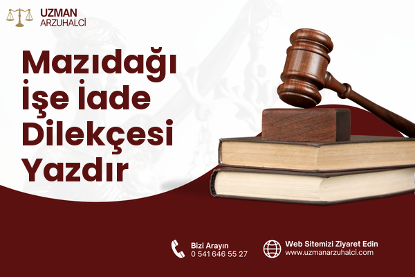 Mazıdağı İşe İade Dilekçesi Yazdır