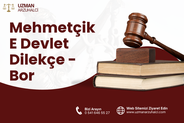 Mehmetçik E Devlet Dilekçe - Bor