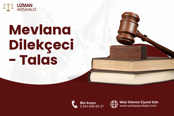 Mevlana Dilekçeci - Talas
