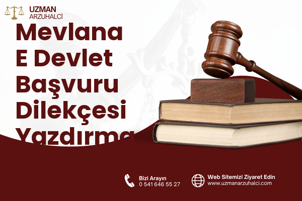 Mevlana E Devlet Başvuru Dilekçesi Yazdırma - Bafra