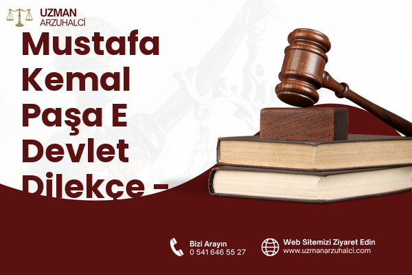 Mustafa Kemal Paşa E Devlet Dilekçe - Avcılar